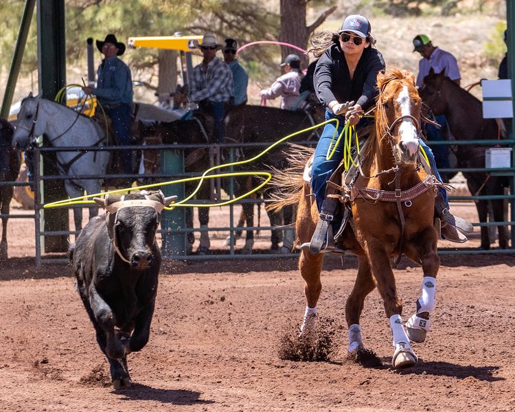 Lady on horseback roping