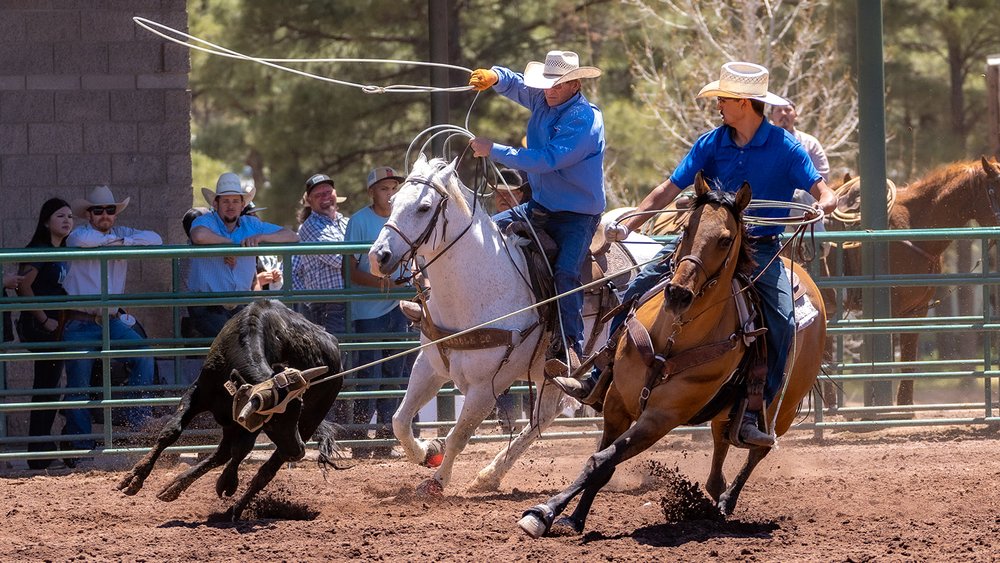 2 Men riding horses roping