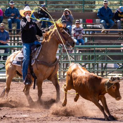 Roping in action